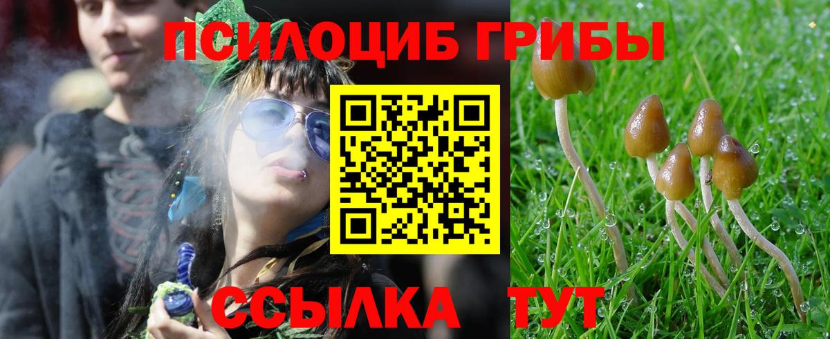 Псилоцибиновые грибы Psilocybe  Вход с VPN  Азнакаево 